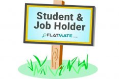 A student or jobholder roommate wanted