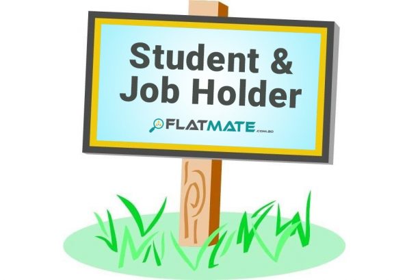 A student or jobholder roommate wanted