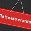 flatmate wanted